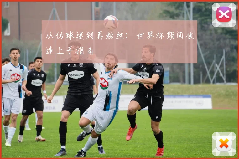 从伪球迷到真粉丝：世界杯期间快速上手指南