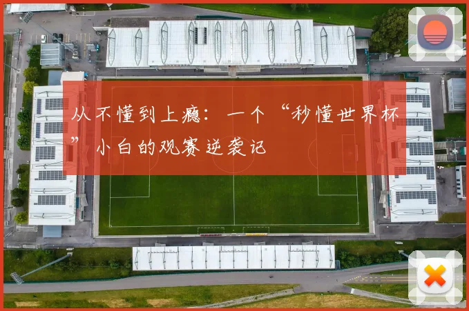 从不懂到上瘾：一个“秒懂世界杯”小白的观赛逆袭记