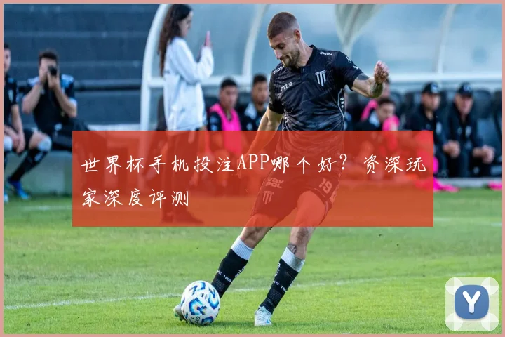 世界杯手机投注APP哪个好?资深玩家深度评测