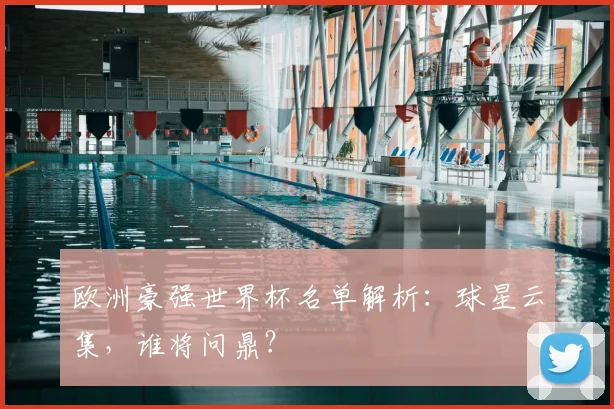欧洲豪强世界杯名单解析：球星云集，谁将问鼎？